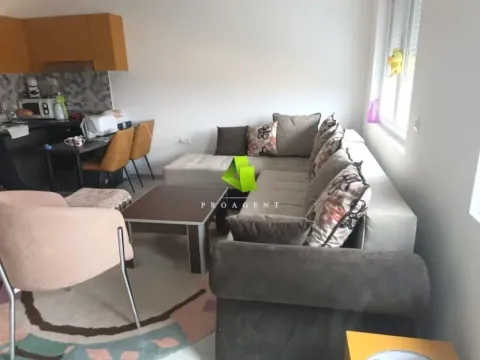 Rent, apartment, 33m², Pantelej, Niš - image 2