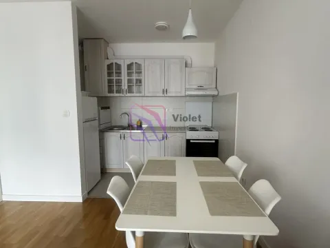 Rent, one bedroom apartment, 41m², Zabjelo, Podgorica - image 1