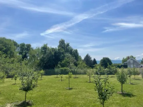 Izdavanje, kuća, 45m², Spuž, Danilovgrad - image 6