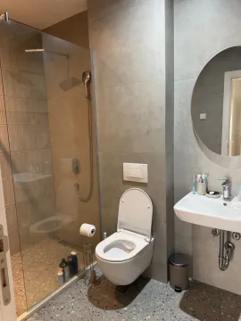 Moderno opremljeno kupatilo sa tuš kabinom, WC šoljom i umivaonikom. - image 12