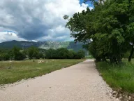 Prodaja, plac, 8000m², Gorica, Danilovgrad - image 2