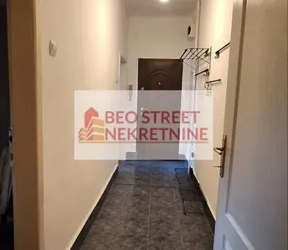 Izdavanje, dvosoban stan, 48m², Vračar Sve Podlokacije, Beograd - image 6