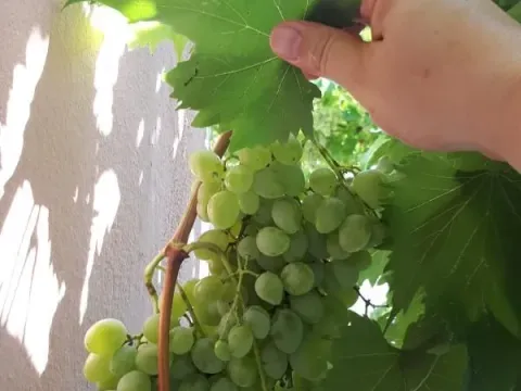 Sale, two bedroom apartment, 57m², Bečići, Budva - image 12