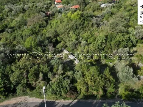 Prodaja, plac, 3043m², Mrkovi, Herceg Novi - image 2