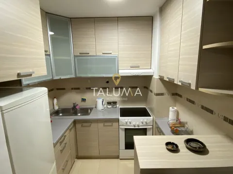 Izdavanje, jednosoban stan, 35m², Stari Aerodrom, Podgorica - image 2