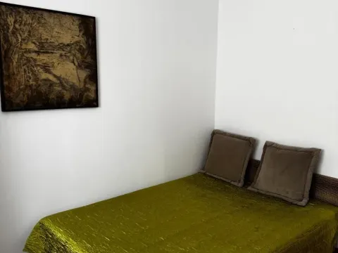 Rent, three bedroom apartment, 100m², Veliki Mokri Lug, Zvezdara Sve Podlokacije - image 9