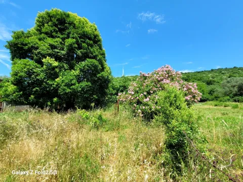 Izdavanje, plac, 2401m², Podgorica, Crna Gora - image 14