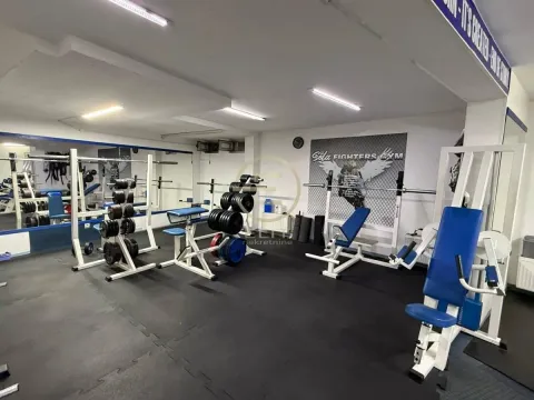 Izdavanje, poslovni prostor, 155m², Socijalno, Novi Sad Sve Podlokacije - image 9