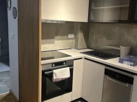 Izdavanje, jednosoban stan, 46m², Zabjelo, Podgorica - image 5