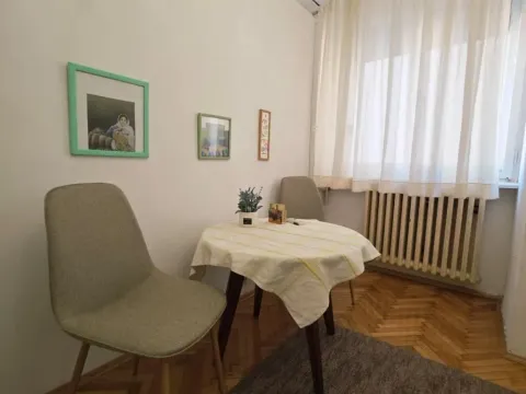 Izdavanje, stan, 20m², Savski Venac, Beograd - image 8