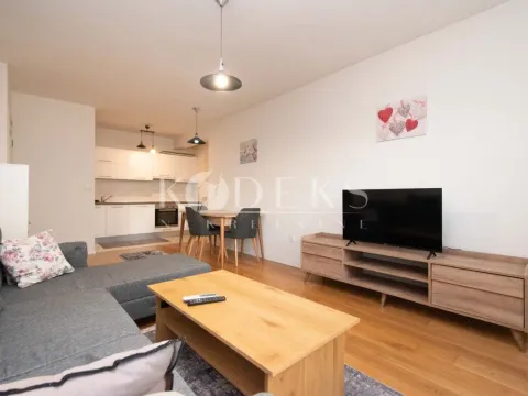 Izdavanje, jednosoban stan, 53m², Central Point, Podgorica - image 2