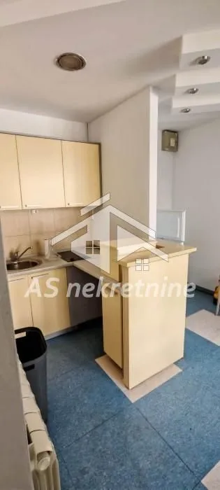 Izdavanje, kuća, 500m², Profesorska Kolonija, Palilula Sve Podlokacije