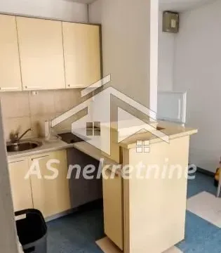 Izdavanje, kuća, 500m², Profesorska Kolonija, Palilula Sve Podlokacije - image 33