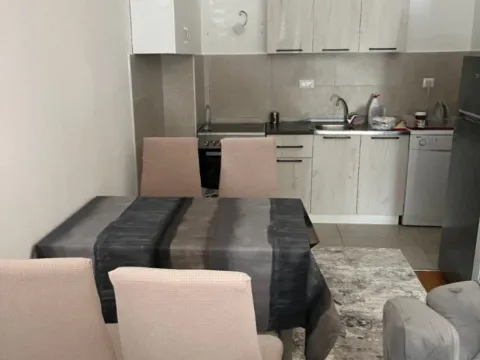 Izdavanje, jednosoban stan, 48m², Stari Aerodrom, Podgorica - image 4