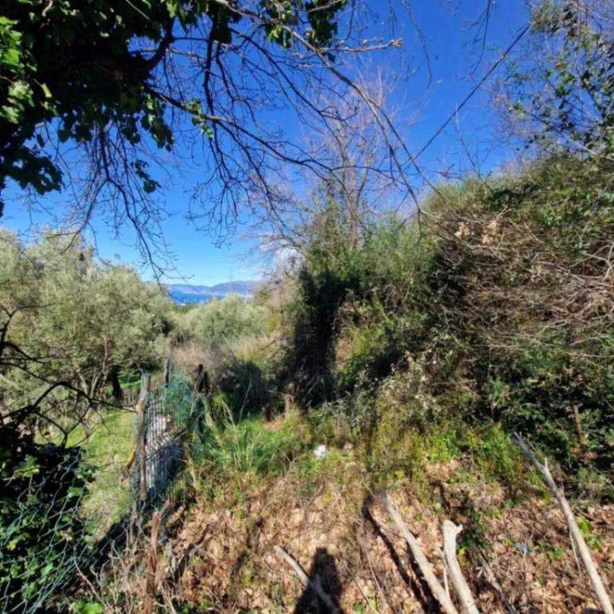 Prodaja, plac, 2600m², Kavač, Kotor