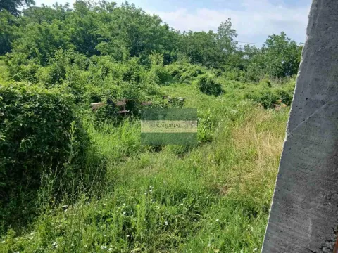 Prodaja, plac, 395m², Jagodina, Srbija - image 3