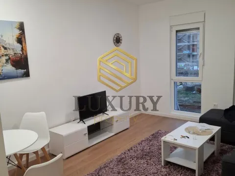 Izdavanje, jednosoban stan, 30m², Zabjelo, Podgorica - image 6