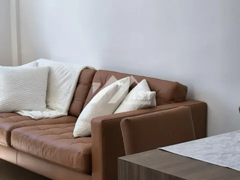 Izdavanje, dvosoban stan, 44m², Centar, Novi Sad - image 2