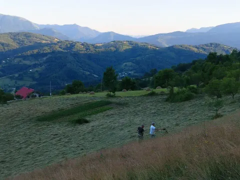 Prodaja, plac, 30905m², Mojkovac, Crna Gora - image 2