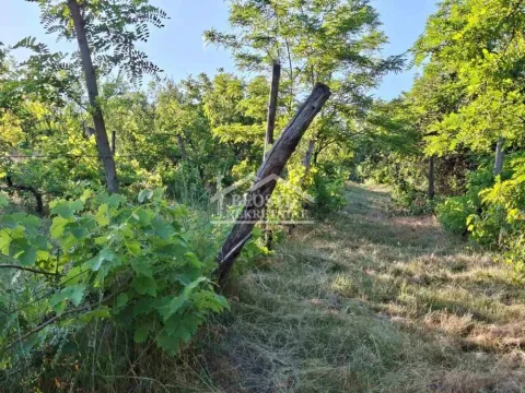 Prodaja, plac, 1800m², Grocka, Beograd - image 6