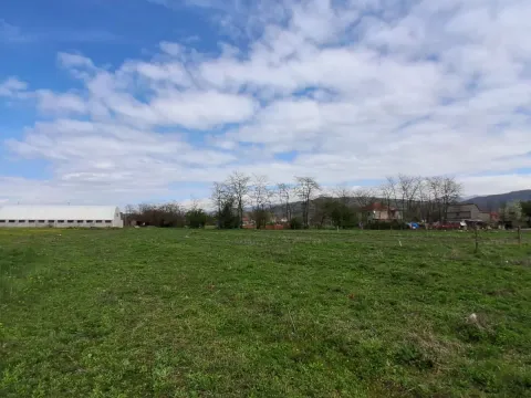 Prodaja, plac, 4800m², Ozrinići, Nikšić - image 3