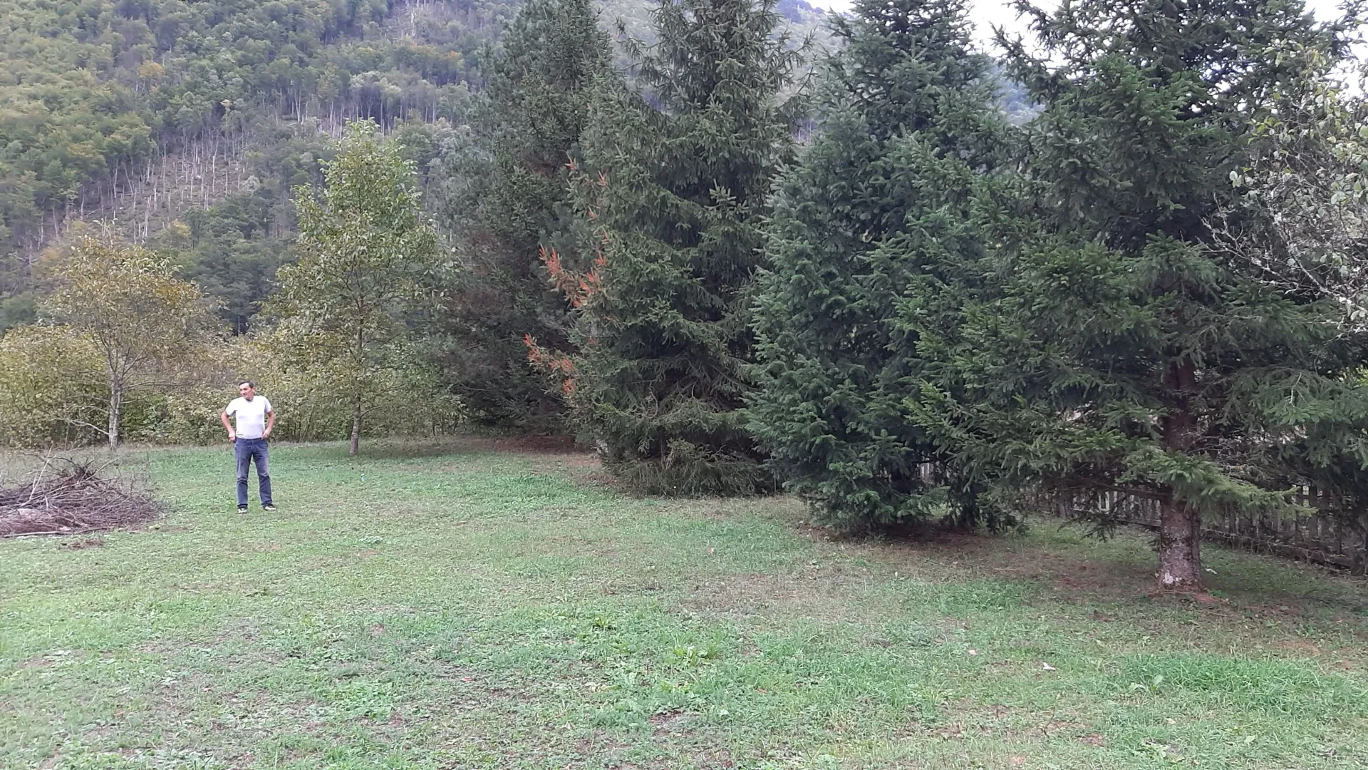 Prodaja, plac, 4000m², Dobrilovina, Mojkovac