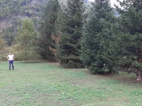 Prodaja, plac, 4000m², Dobrilovina, Mojkovac - image 7