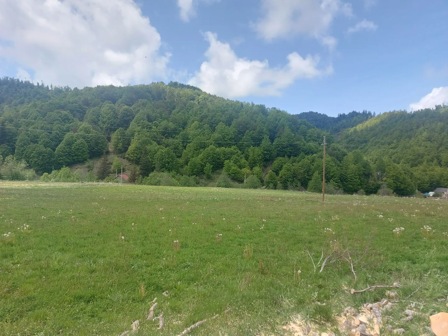 Zelena livada sa pogledom na šumovito brdo i nebo sa oblacima.