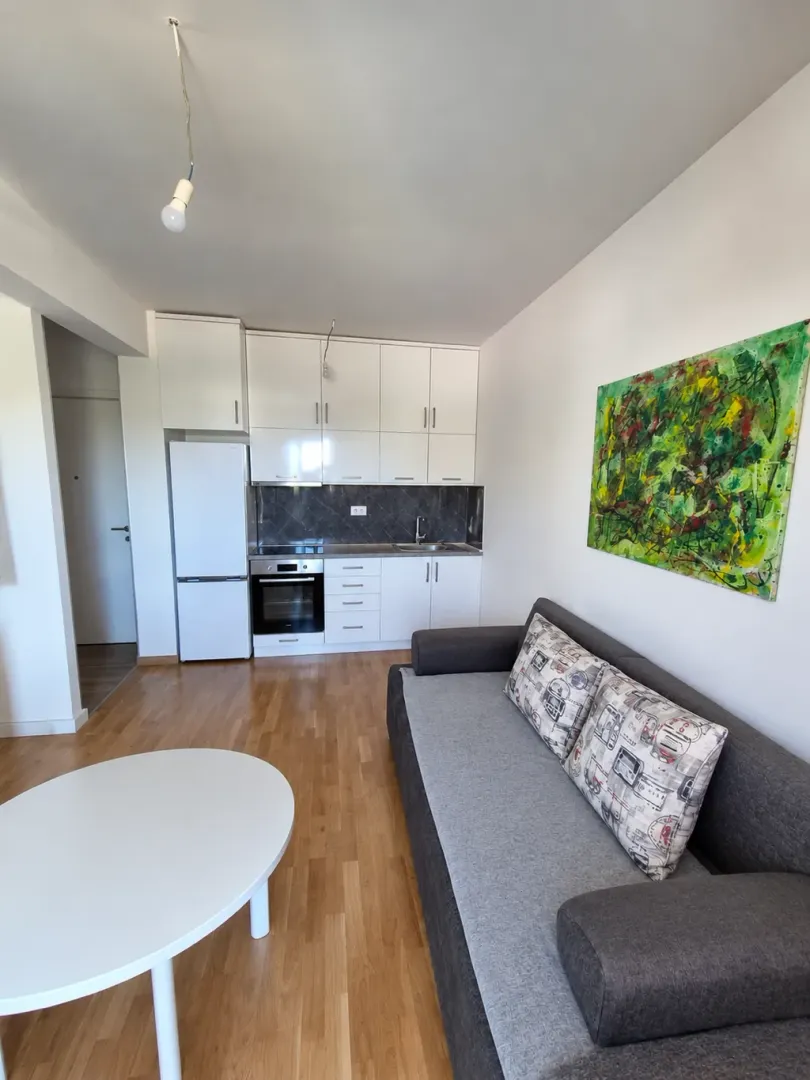 Living room with kitchen and dining table.