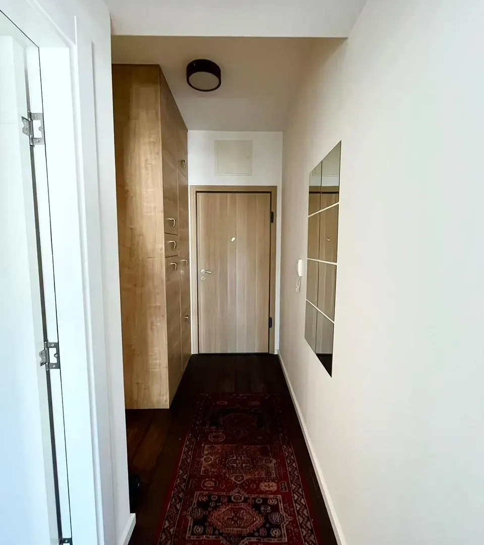 Rent, one bedroom apartment, 48m², Vezirov Most, Podgorica