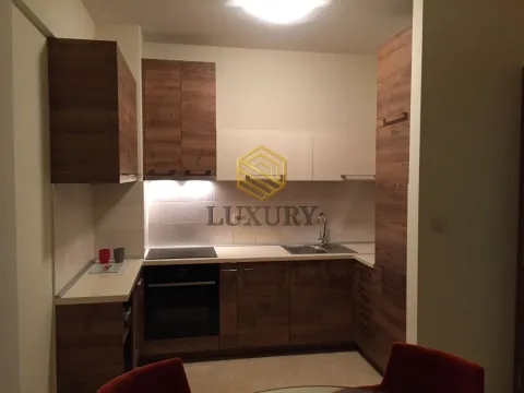 Izdavanje, jednosoban stan, 57m², Centar, Podgorica - image 4