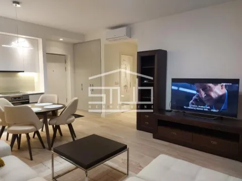 Izdavanje, dvosoban stan, 58m², Savski Venac, Beograd - image 2