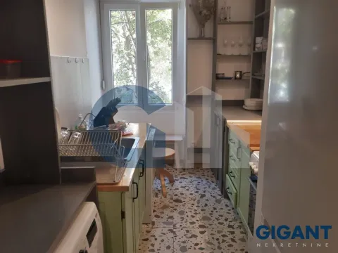 Izdavanje, dvosoban stan, 49m², Hala Pionir, Palilula Sve Podlokacije - image 11