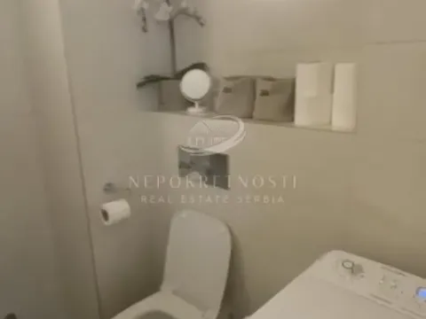 Izdavanje, dvosoban stan, 54m², Palilula Sve Podlokacije, Beograd - image 8