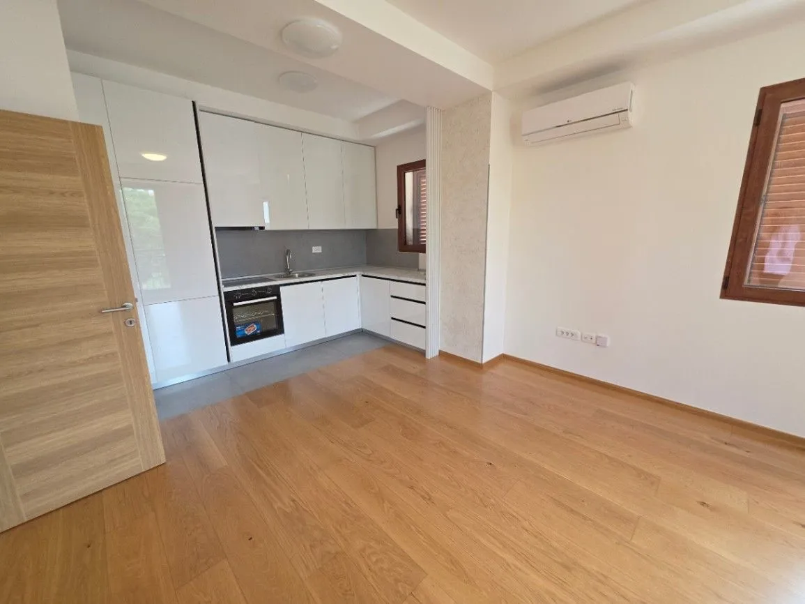 Rent, one bedroom apartment, 42m², Pod Goricom, Podgorica