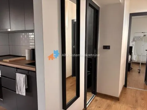 Izdavanje, dvosoban stan, 60m², Novi Beograd Sve Podlokacije, Beograd - image 9
