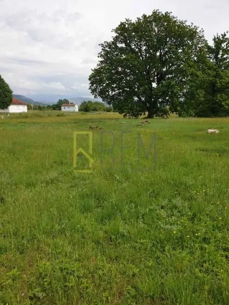 Prodaja, plac, 12000m², Spuž, Danilovgrad
