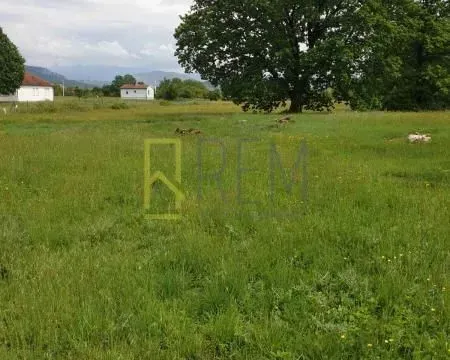 Prodaja, plac, 12000m², Spuž, Danilovgrad - image 7