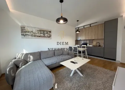 Rent, two bedroom apartment, 53m², Podgorica, Crna Gora - image 12