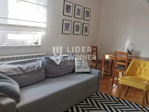 Rent, one bedroom apartment, 41m², Zemun Gornji Grad, Zemun Sve Podlokacije - image 4