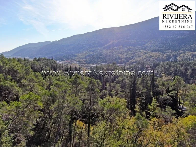 Prodaja, plac, 33385m², Sutorina, Herceg Novi