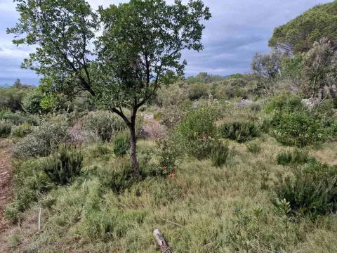 Prodaja, plac, 930m², Zagora, Kotor - image 15