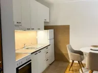 Izdavanje, jednosoban stan, 42m², Central Point, Podgorica - image 7