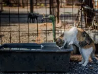 Prodaja, poslovni prostor, Ostalo, Podgorica - image 18