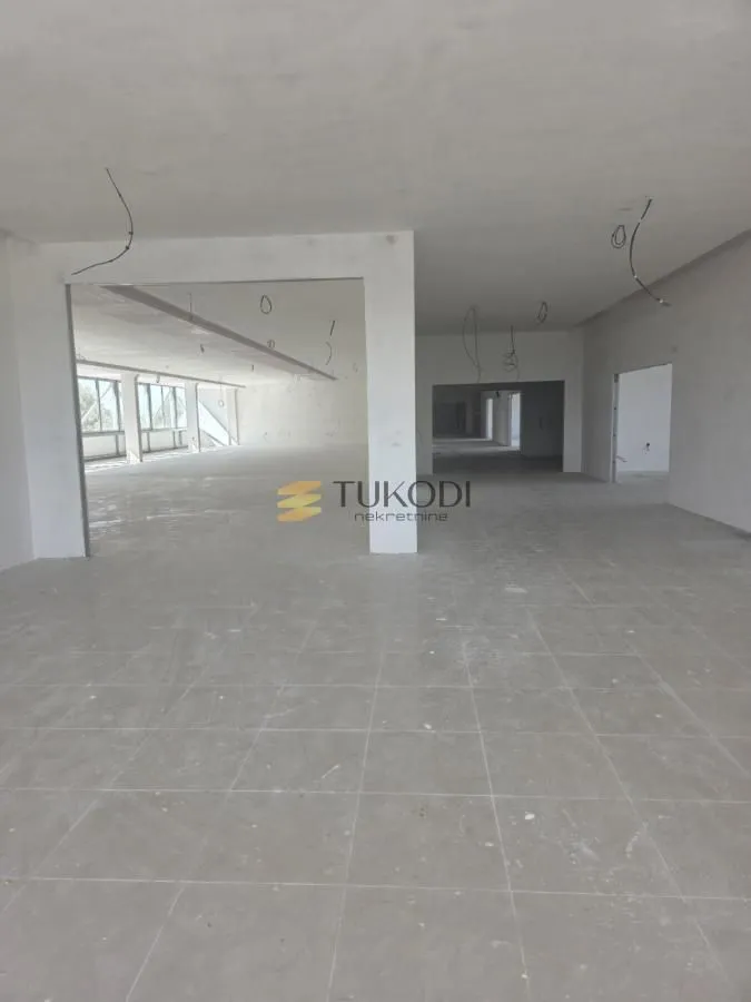 Rent, office space, 4597m², Šangaj, Novi Sad Sve Podlokacije