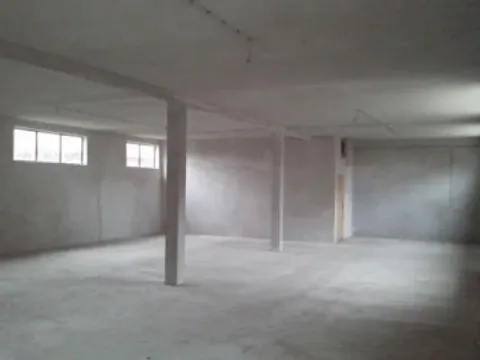 Izdavanje, poslovni prostor, 250m², Altina, Beograd - image 3
