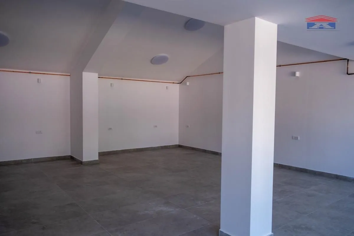 Rent, office space, 123m², Veternik, Novi Sad Sve Podlokacije