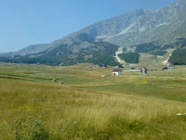 Sale, land lot, 7000m², Motički gaj, Žabljak