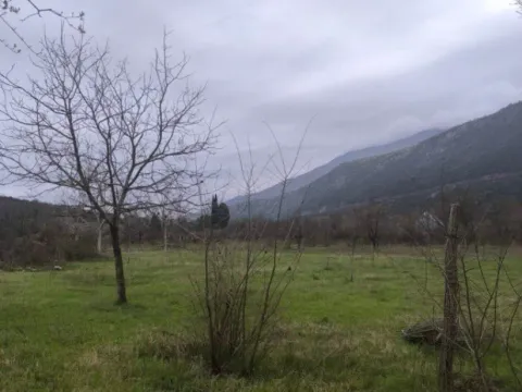 Sale, land lot, 4000m², Kujava, Danilovgrad - image 5