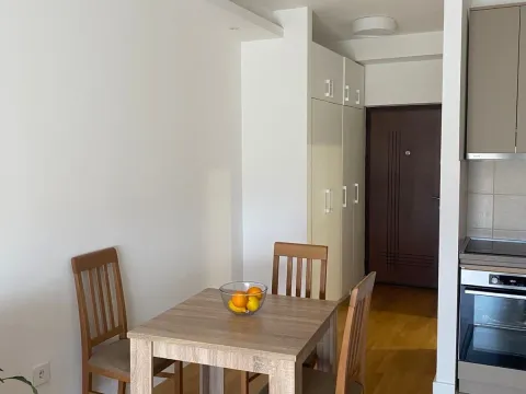 Rent, studio apartment, 35m², Tološi, Podgorica - image 10